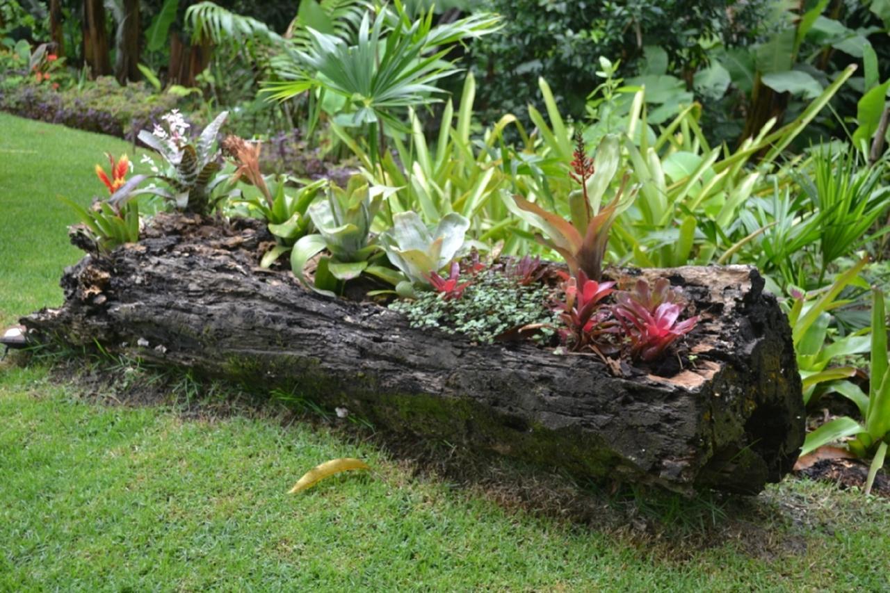 Sitio Alto Da Montanha - Voce Em Paz Com A Natureza Villa Pacoti Dış mekan fotoğraf