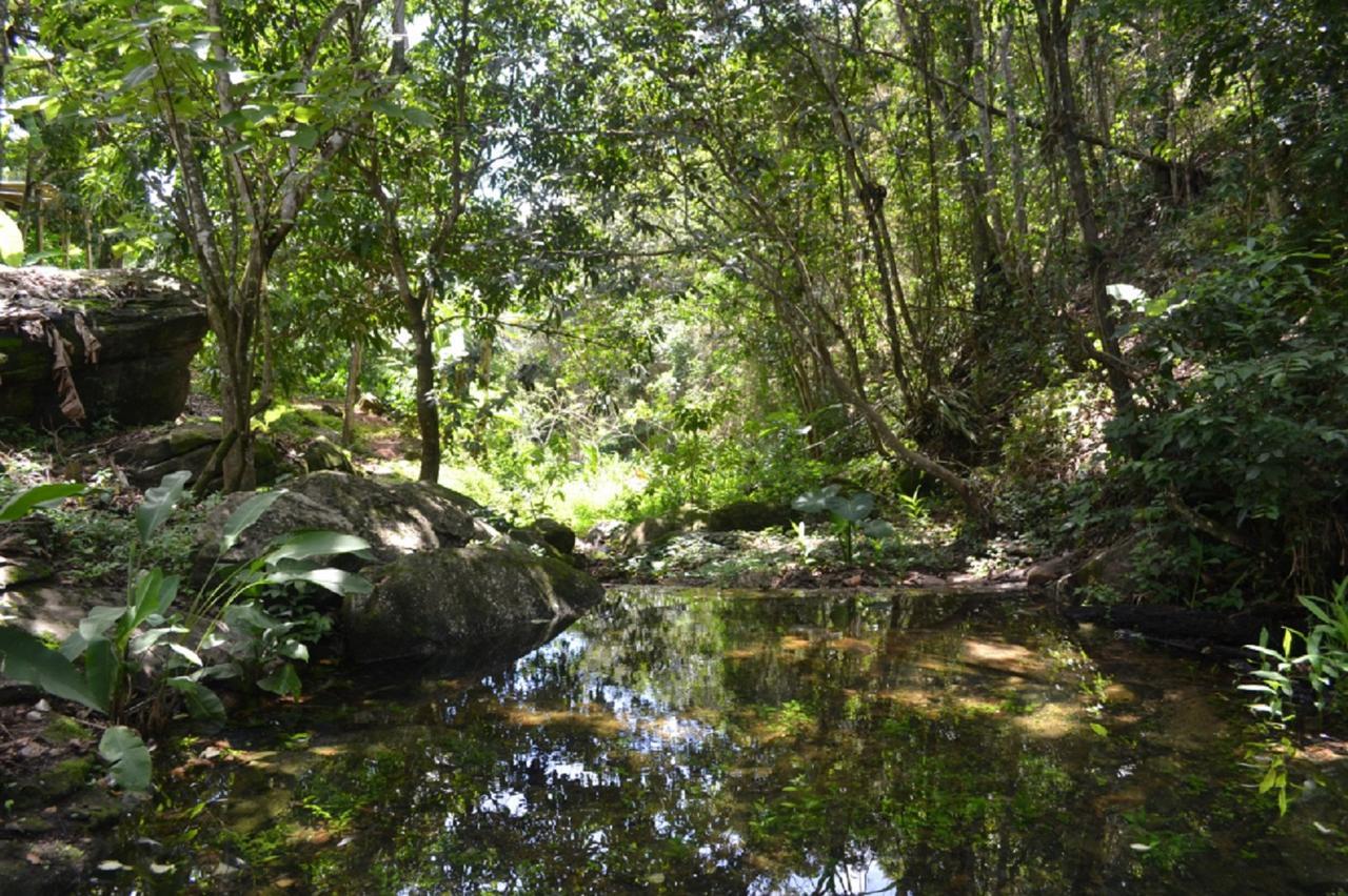 Sitio Alto Da Montanha - Voce Em Paz Com A Natureza Pacoti Dış mekan fotoğraf