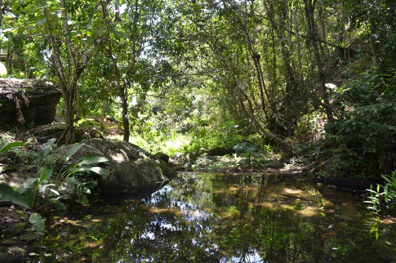 Sitio Alto Da Montanha - Voce Em Paz Com A Natureza Villa Pacoti Dış mekan fotoğraf